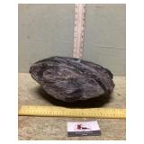 Petrified wood