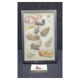 Arrowhead and teeth shadowbox