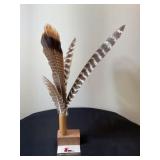 Feather s