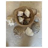 Basket of sea shells