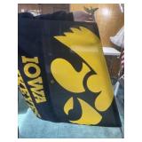 Iowa Hawkeye flag on pole