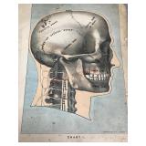 Vintage Medical Book with Lithograph Photos