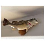 Large mount bass taxidermy fish mount