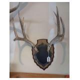 Wall mount antlers