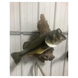 FISH MOUNT