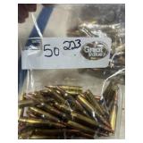 50 RNDS .223 REM AMMO