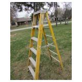 werner 6 ft stepladder