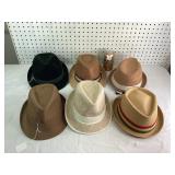 Assorted Hats