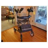 Oasis Space Upright Walker