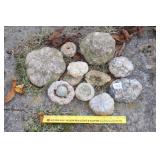 Group of Small Geodes - Located in Backyard