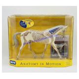 Breyer Traditional Anatomy In Motion