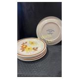 Autumn collection plates