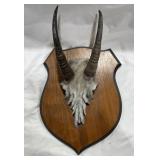 Animal Skull Plaque