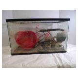 20" x 12ï¿½" Glass Aquarium Fish Tank with