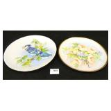 Plates - 2 China Painting, Plates made in Germany