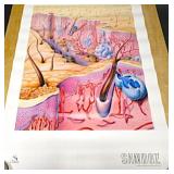 3D Medical Illustrations by Audra Geras 23.5 x 34"