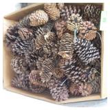FIRE STARTER PINECONES (OR FOR CRAFTS:)