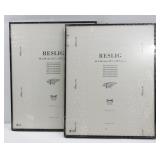 2 Pc New IKEA Reslig 15" x 19" Picture Frames