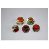 5 pcs Small Glass Paperweights