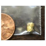 0.9 Grams California River Gold