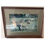 F - SAFARI PHOTO FRAMED 17X22" (P9)