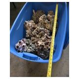 Big Chunks of Coral for Saltwater Tanks