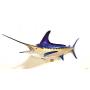 Beautiful Striped Marlin Trophy Mount