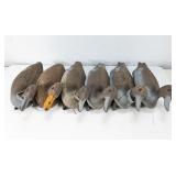 Duck Decoys Collection