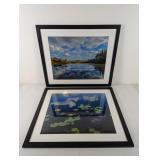 (2) Framed Nature Photography Prints