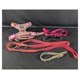 (4) Pet Accessories: Harnesses, Leashes, and