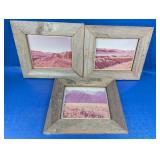 (3) Framed Landscape Prints