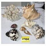 Shell Collections