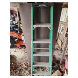 G1- FIBERGLASS LADDER