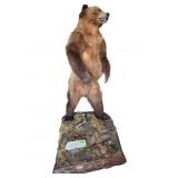 Taxidermy Large Grizzly Bear Full Body Mount