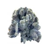 Large Blue Coral Specimen