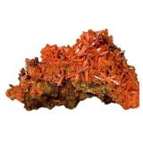 Crocoite Specimen - 5.3oz - Zeehan, Tasmania