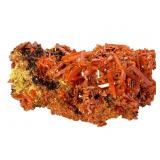 6 Oz Crocoite 3 1/2 X 2 1/4"