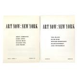 2 Art Now New York 1969-1970