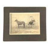 Young Man Seated in Horse Drawn Buggy B&W Photo