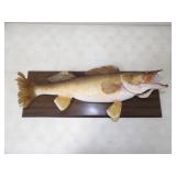 Walley Mounted on Wood Plaque 24.5in. L