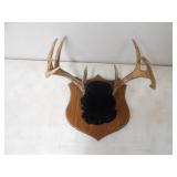 11pt Deer Antlers