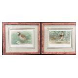 2pc J.L. Ridgway Bird Art Prints