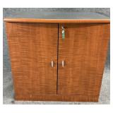 Faux Wood 2 Door Office Cabinet