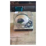 Super Bowl 43 Mini Helmet