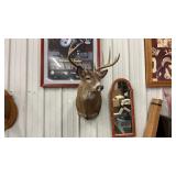 Whitetail Deer Head 10 point