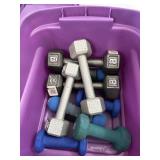 Tote of weights, 3, 5 & 8 pound