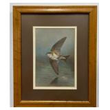 Sand Martin Framed Picture signed Basil Ede