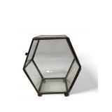 Brass and glass terrarium display case