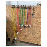 16- assorted colored bungee straps