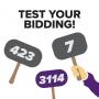 Test Your Bidding Skills - Practice Bidding